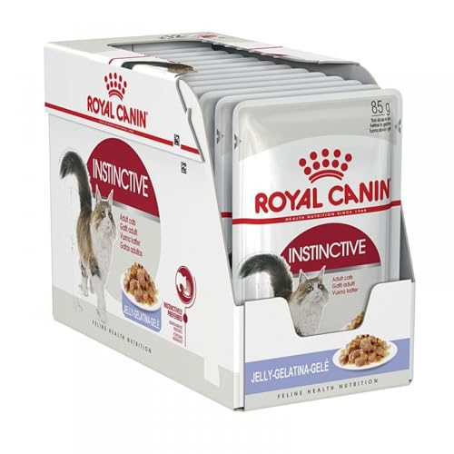 Royal Canin Instinctive Jelly | 12 x 85 g | Nassfutter in Gelee für ausgewachsene Katzen | Zur Unterstützung der Harnwege und des Gewichts | Ausgewogene Rezeptur von ROYAL CANIN