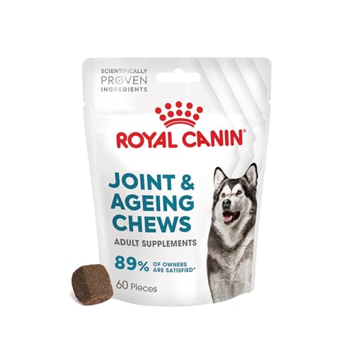 Royal Canin Joint & Ageing Chews | 240 g | Snacks für Adulte Hunde Aller Größen & Rassen | Im wiederverschließbaren Beutel | Mit Tierärzten entwickeln | Mit Grünlippmüschel von ROYAL CANIN