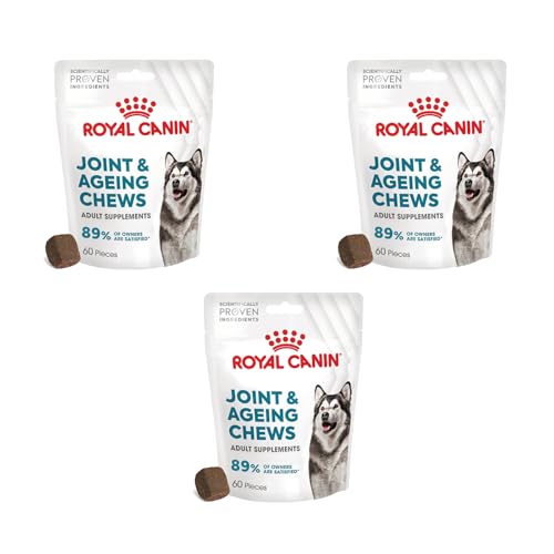 ROYAL CANIN Joint & Ageing Chews | 3er Pack | 3 x 240 g | Snacks für Adulte Hunde Aller Größen & Rassen | Im wiederverschließbaren Beutel | Mit Tierärzten entwickeln | Mit Grünlippmüschel von ROYAL CANIN