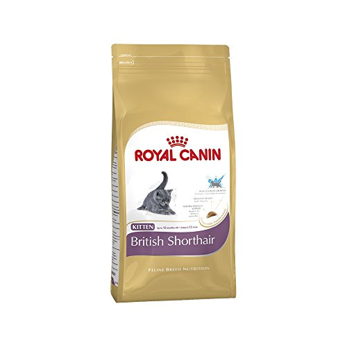 Royal Canin KITTEN British Shorthair Katzenfutter 400g (1er Packung) von ROYAL CANIN