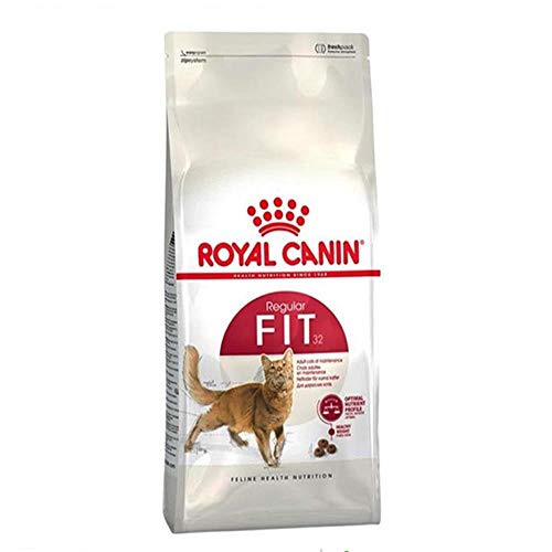 Royal Canin Katzenfutter Feline Fit 32, 1er Pack (1 x 4 kg Packung) von ROYAL CANIN