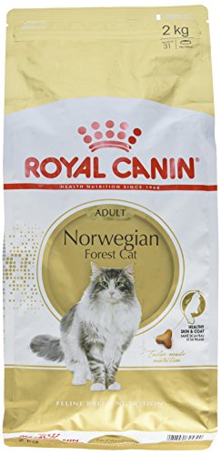 Royal Canin Katzenfutter Norwegische Waldkatze 2 kg, 1er Pack (1 x 2 kg) von ROYAL CANIN