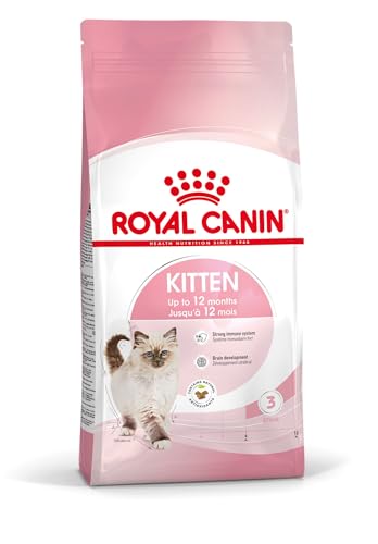 Royal Canin Kitten | 400 g | Trockenfutter für Katzenwelpen bis zum 12. Monat | Zur Unterstützung des Immunsystems, der Verdauung und der Gehirnentwicklung | Mit Omega-3 Royal Canin Kitten | 400 g | Trockenfutter für Katzenwelpen bis zum 12. Monat | Zur Unterstützung des Immunsystems, der Verdauung und der Gehirnentwicklung | Mit Omega-3 von ROYAL CANIN