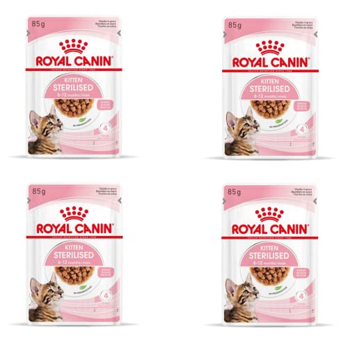 Royal Canin Kitten Sterilised Gravy | 4er Pack | 4 x 12 x 85 g | Nassfutter für kastrierte Kätzchen im Wachstum | Vom 6. bis zum 12. Monat | Weiche Textur für die Milchzähne von Royal Canin