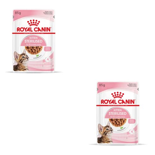 Royal Canin Kitten Sterilised Gravy | Doppelpack | 2 x 12 x 85 g | Nassfutter für kastrierte Kätzchen im Wachstum | Vom 6. bis zum 12. Monat | Weiche Textur für die Milchzähne von ROYAL CANIN