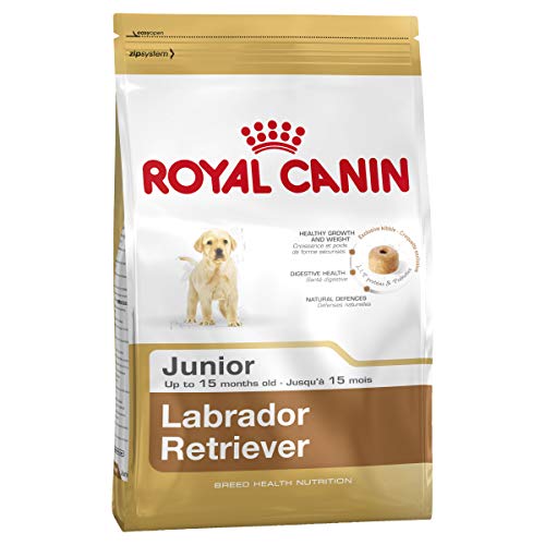 Royal Canin Labrador Junior Labrador-Futter für junge Labradore. von ROYAL CANIN