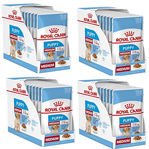 Royal Canin Medium Puppy | 4er Pack | 4 x 10 x 140 g | Nasses Welpenfutter für mittelgroße Hunde | Bis zum 12. Lebensmonat | Zur Unterstützung des Gehirns | Stückchen in Soße von ROYAL CANIN