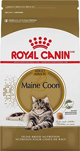 Royal Canin Maine Coon 31 Katzenfutter, 10 kg Royal Canin Maine Coon 31 Katzenfutter, 10 kg von ROYAL CANIN