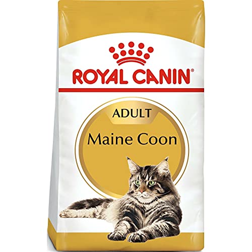 Royal Canin Maine Coon Adult | 2 kg | Trockenfutter für Katzen | Angepasst auf den Bedarf von Maine Coon Katzen | Zur Unterstützung der Gelenke und Knochen von ROYAL CANIN