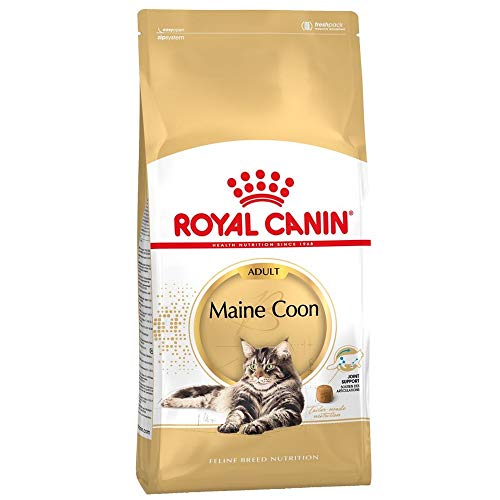 Royal Canin Maine Coon Adult | 400 g | Trockenfutter für Katzen | Angepasst auf den Bedarf von Maine Coon Katzen | Zur Unterstützung der Gelenke und Knochen von Royal Canin
