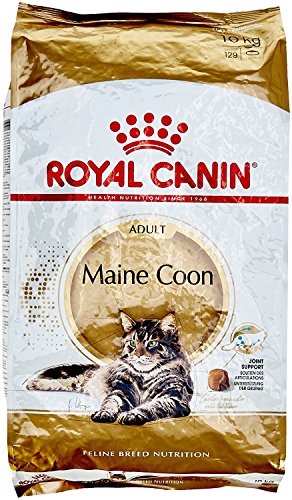 Royal Canin Maine Coon Katzenfutter, 10 kg Royal Canin Maine Coon Katzenfutter, 10 kg von ROYAL CANIN