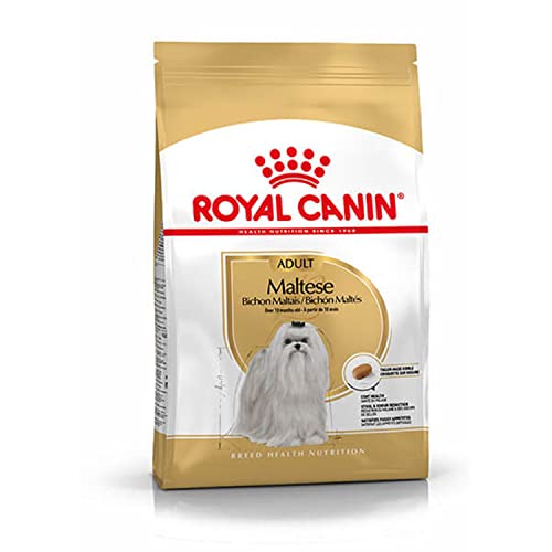 Royal Canin Maltese Adult | 1,5 kg |Trockenfutter für ausgewachsene Malteser | Zur Unterstützung des Fells und der Verdauung | Mit EPA & DHA | Für Hunde ab dem 10. Lebensmonat von ROYAL CANIN