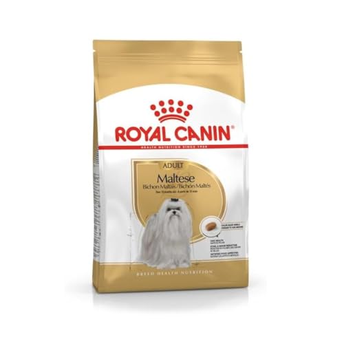 Royal Canin Maltese Adult | 500 g | Trockenfutter für ausgewachsene und ältere Malteser | Zur Unterstützung des Fells und der Verdauung | Für Hunde ab dem 10. Lebensmonat von ROYAL CANIN