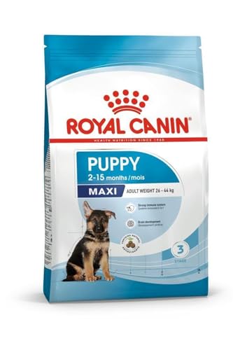 Royal Canin Maxi Junior, 1er Pack (1 x 10 kg Beutel) - Hundefutter von ROYAL CANIN