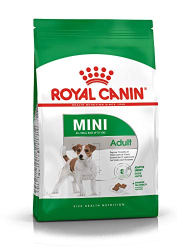 Royal Canin Mini Adult, 1er Pack (1 x 800 g) von ROYAL CANIN