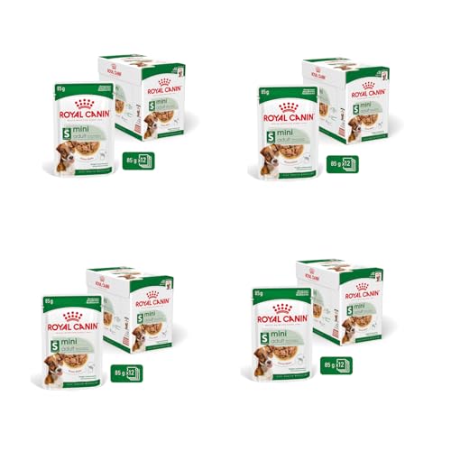 Royal Canin Mini Adult in Soße | 4er Pack | 4 x 12 x 85 g | Nassfutter für kleine, ausgewachsene Hunde (1 bis 10 kg) | Von 10 Monaten bis 12 Jahre | Angepasster Energiegehalt von ROYAL CANIN