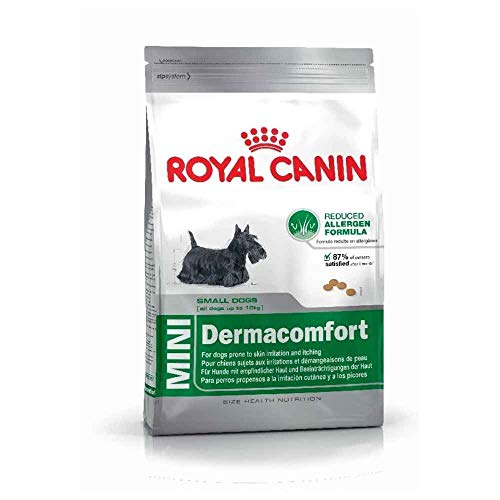 Royal Canin Mini Dermacomfort, 1er Pack (1 x 4 kg) von ROYAL CANIN