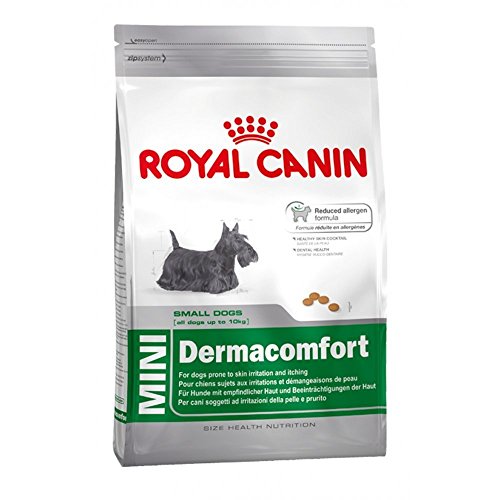 Royal Canin Mini Dermacomfort, 1er Pack (1 x 4 kg) von ROYAL CANIN