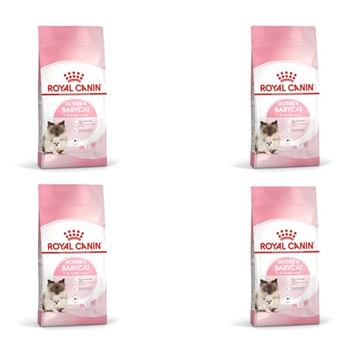 Royal Canin Mother & Babycat Trockenfutter | 4er Pack | 4 x 400 g | Für tragende und säugende Katzen | Alleinfuttermittel speziell für die Mutterkatze und ihre Welpen Royal Canin Mother & Babycat Trockenfutter | 4er Pack | 4 x 400 g | Für tragende und säugende Katzen | Alleinfuttermittel speziell für die Mutterkatze und ihre Welpen von ROYAL CANIN