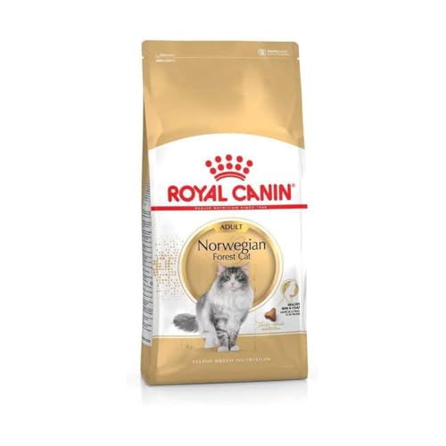 Royal Canin Norwegian Forest Cat Adult | 400 g | Allfeinfuttermittel für ausgewachsene Norwegische Waldkatzen | Ab dem 12. Monat | Gesunde Haut und schönes Fell Royal Canin Norwegian Forest Cat Adult | 400 g | Allfeinfuttermittel für ausgewachsene Norwegische Waldkatzen | Ab dem 12. Monat | Gesunde Haut und schönes Fell von ROYAL CANIN