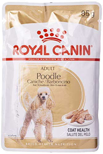 Royal Canin Poodle Adult | 12 x 85g | Nassfutter für Pudel Erwachsene & Senioren | ab 10 Monaten | Fellpflege | mit schmackhafter Konsistenz von ROYAL CANIN