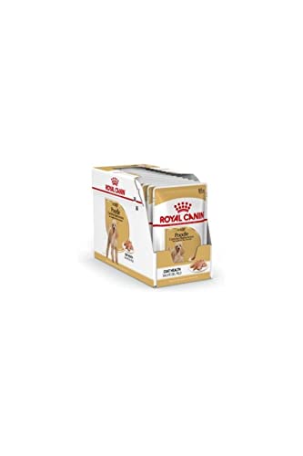 Royal Canin Poodle Adult | 12 x 85g | Nassfutter für Pudel Erwachsene & Senioren | ab 10 Monaten | Fellpflege | mit schmackhafter Konsistenz Royal Canin Poodle Adult | 12 x 85g | Nassfutter für Pudel Erwachsene & Senioren | ab 10 Monaten | Fellpflege | mit schmackhafter Konsistenz von ROYAL CANIN