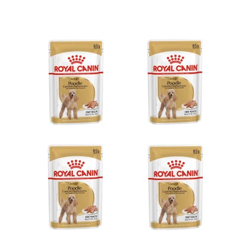 Royal Canin Poodle Adult | 4er Pack | 4 x 12 x 85 g | Nassfutter für ausgewachsene Pudel | Zur Unterstützung des Fells | Optimale tägliche Ernährung | Ab dem 10. Lebensmonat Royal Canin Poodle Adult | 4er Pack | 4 x 12 x 85 g | Nassfutter für ausgewachsene Pudel | Zur Unterstützung des Fells | Optimale tägliche Ernährung | Ab dem 10. Lebensmonat von Royal Canin