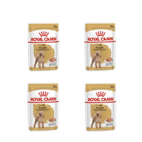 Royal Canin Poodle Adult | 4er Pack | 4 x 12 x 85 g | Nassfutter für ausgewachsene Pudel | Zur Unterstützung des Fells | Optimale tägliche Ernährung | Ab dem 10. Lebensmonat von Royal Canin