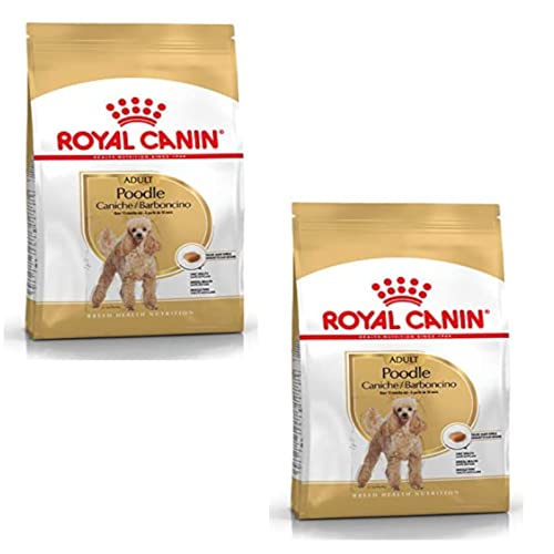Royal Canin Poodle Adult | Doppelpack | 2 x 500 g | Trockenfutter für ausgewachsene Poodle | Zur Unterstützung des Fells und des Muskeltonus | Für Hunde ab dem 10. Lebensmonat von ROYAL CANIN