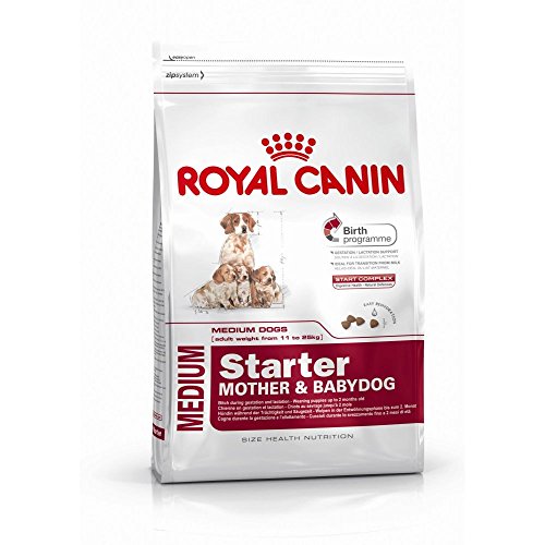 Royal Canin – Roy Medium Starter 4 kg von ROYAL CANIN