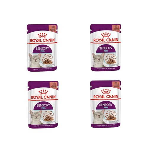 Royal Canin Sensory Feel Nassfutter in Soße für wählerische Katzen | 4er Pack | 4 x 12 x 85 g | Die besondere Textur kann dabei helfen das Mundgefühl von Katzen anzuregen von ROYAL CANIN