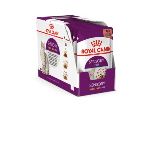 Royal Canin Sensory Smell Taste Feel Multibox | 12 x 85 g | Alleinfuttermittel für ausgewachsene Katzen | Kann die Sinne der Katze anregen | Mit feinen Stückchen in Soße von ROYAL CANIN