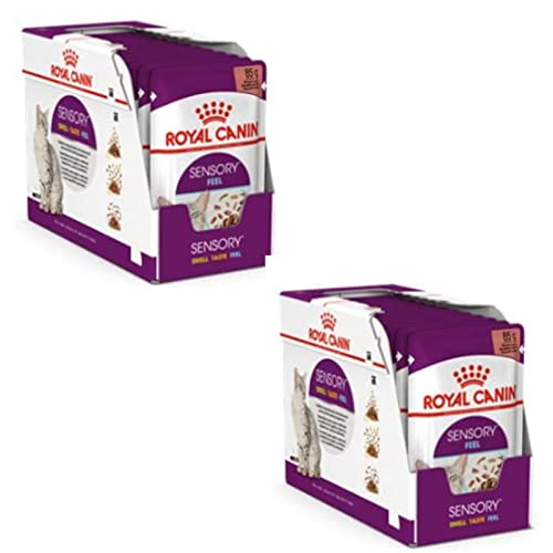 Royal Canin Sensory Smell Taste Feel Multibox | Doppelpack | 2 x 12 x 85 g | Alleinfuttermittel für ausgewachsene Katzen | Kann die Sinne der Katze anregen | Stückchen in Soße von ROYAL CANIN