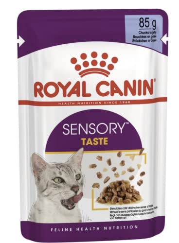 Royal Canin Sensory Taste Nassfutter in Gelee für wählerische Katzen 12 x 85 g von ROYAL CANIN