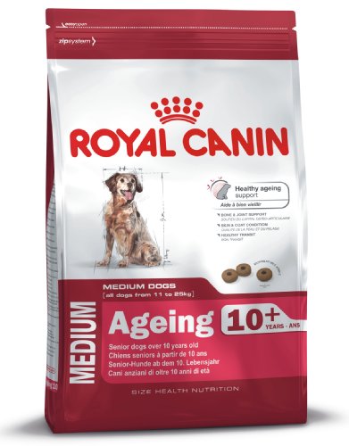 Royal Canin Size Medium Ageing 10+, 1er Pack (1 x 15 kg) von ROYAL CANIN