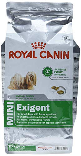 Royal Canin Size Mini Exigent, 1er Pack (1 x 2.04 kg) von ROYAL CANIN