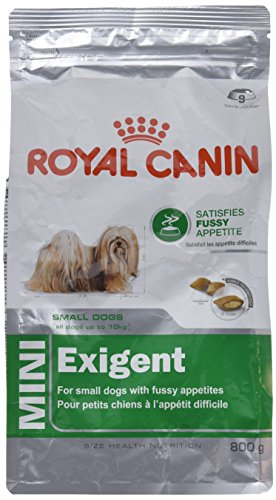 Royal Canin Size Mini Exigent, 1er Pack (1 x 800 g) von ROYAL CANIN