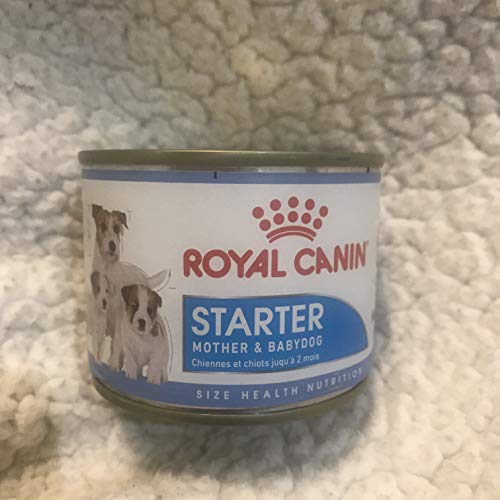Royal Canin Starter Mousse 12 x 195 GR von ROYAL CANIN