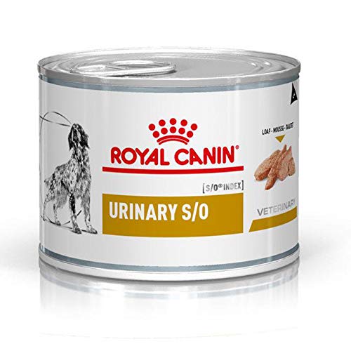 ROYAL CANIN Veterinary Urinary S/O Mousse | 12 x 200 g | Diät-Alleinfuttermittel für ausgewachsene Hunde | Zur Unterstützung der Harnwege bei Struvitsteinen | Niedriger RSS-Wert von ROYAL CANIN