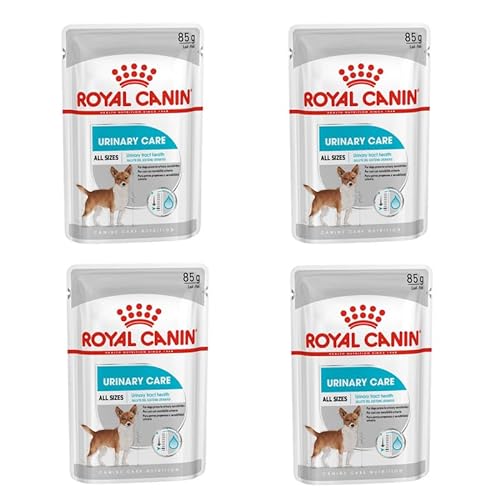 Royal Canin Urinary Care Mousse | 4er Pack | 4 x 12 x 85 g | Alleinfuttermittel für ausgewachsene Hunde ab dem 10. Lebensmonat | Für Hunde mit empfindlichen Harnwegen geeignet von ROYAL CANIN