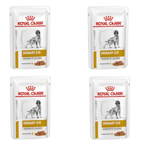 Royal Canin Urinary S/O Moderate Calorie | 4er Pack | 4 x 12 x 100 g | Nassfutter für Hunde | Zur Unterstützung bei Struvitsteinen und zur Verringerung von Struvitsteinrezidive von Royal Canin