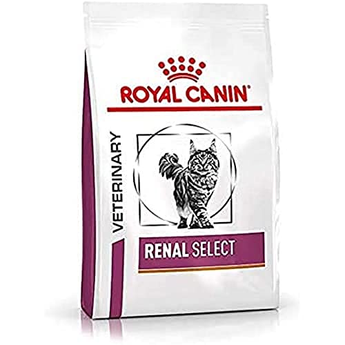 Royal Canin Vd Cat Renal Select, 1er Pack (1 x 2 kg) von ROYAL CANIN