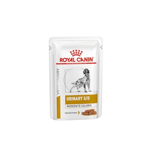 Royal Canin Veterinary URINARY S /O Moderate Calorie | 12 x 100 g | Diät-Alleinfuttermittel für ausgewachsene Hunde | Zur Auflösung von Struvitsteinen Royal Canin Veterinary URINARY S /O Moderate Calorie | 12 x 100 g | Diät-Alleinfuttermittel für ausgewachsene Hunde | Zur Auflösung von Struvitsteinen von ROYAL CANIN
