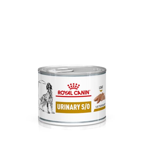 Royal Canin Veterinary Urinary S/O Mousse | 12 x 200 g | Diät-Alleinfuttermittel für Hunde | Kann zur Auflösung von Struvitsteinen beitragen | Harnverdünnende Eigenschaften Royal Canin Veterinary Urinary S/O Mousse | 12 x 200 g | Diät-Alleinfuttermittel für Hunde | Kann zur Auflösung von Struvitsteinen beitragen | Harnverdünnende Eigenschaften von ROYAL CANIN