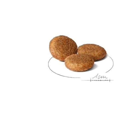 Royal Canin Vogelfutter 12 kg Royal Canin Vogelfutter 12 kg von ROYAL CANIN