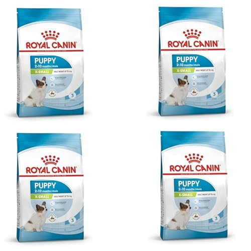 Royal Canin X-SMALL Puppy | 4er Pack | 4 x 500 g | Trockenfutter für Welpen sehr Kleiner Hunderassen | Kann zur normalen Funktion des Immunsystems beitragen | Mit Omega-3 von ROYAL CANIN