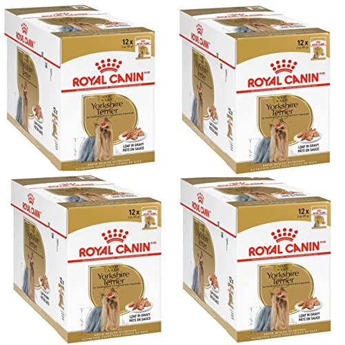 Royal Canin Yorkshire Terrier Adult | 4er Pack | 4 x 12 x 85 g | Nassfutter für ausgewachsene Hunde | Ab dem 10. Lebensmonat | Zur Unterstützung von Fell und Stuhlqualität von ROYAL CANIN