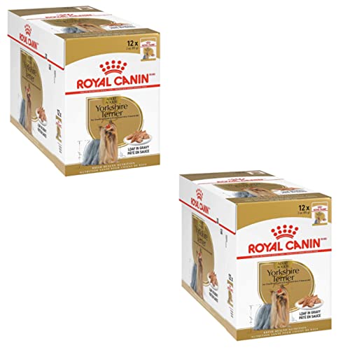 Royal Canin Yorkshire Terrier Adult | Doppelpack | 2 x 12 x 85 g | Nassfutter für ausgewachsene Hunde | Ab dem 10. Lebensmonat | Zur Unterstützung von Fell und Stuhlqualität von ROYAL CANIN