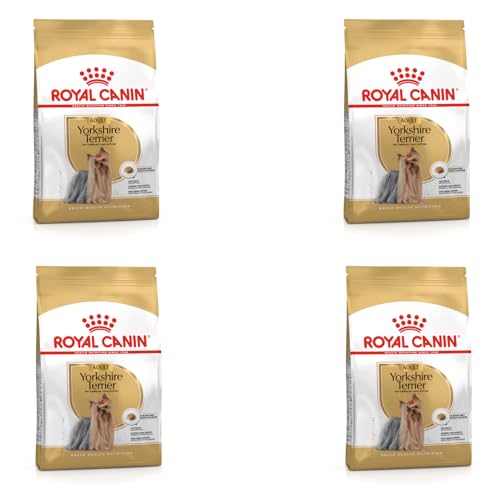 Royal Canin Yorkshire Terrier Adult Trockenfutter | 4er Pack | 4 x 500 g | Speziell für Erwachsene Yorkshire Terrier entwickelt | Unterstützung der körpereigenen Abwehrkräfte Royal Canin Yorkshire Terrier Adult Trockenfutter | 4er Pack | 4 x 500 g | Speziell für Erwachsene Yorkshire Terrier entwickelt | Unterstützung der körpereigenen Abwehrkräfte von ROYAL CANIN