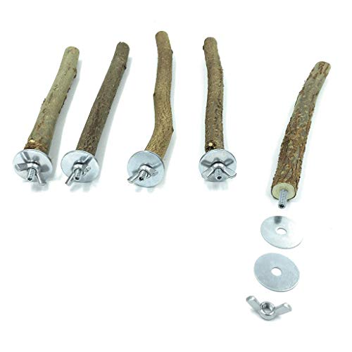 ROYJJ 10 x Papageienständer aus Naturholz, Gabel, Sitzstange, Hängeschaukel für Haustiere von ROYJJ